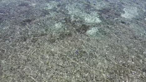 Luftaufnahme-Eines-Flachen-Riffs-Mit-Kristallklarem-Wasser-In-Fidschi