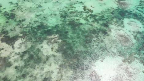 Aerial-view-tilt-up-reveal-coral-reef-Caribbean-Sea,-Boca-de-Cote-South-Barrier-Los-Roques