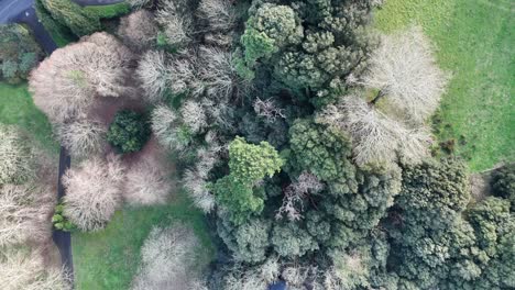 Guernsey-Vals-de-Terres-overhead-footage-of-woodland-at-the-foot-of-the-steepest-hill-in-Guernsey-famous-for-hill-climbs,-on-bright-winter-day