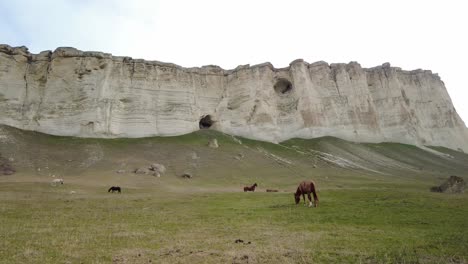 Erleben-Sie-Die-Erhabenheit-Der-Krim,-Während-Sie-In-Diesem-Video-Den-Anblick-Der-Pferde-Genießen,-Die-An-Der-Weißen-Klippe-Grasen-Und-Die-Natürliche-Schönheit-Und-Ruhe-Verkörpern.