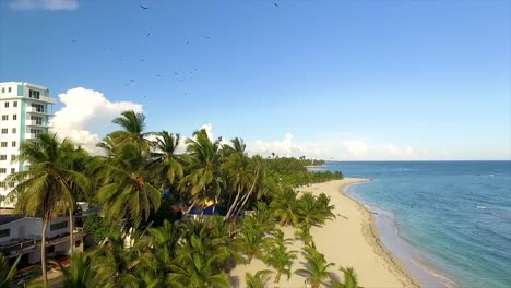 Sonnige-Strandlandschaft-Von-Miami-Mit-Palmen,-Weißem-Sand-Und-Klarem,-Blauem-Wasser,-Luftaufnahme,-In-Den-USA