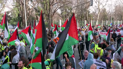 Demonstranten-Halten-Palästinensische-Flaggen-Und-Versammeln-Sich-In-Solidarität-Mit-Palästina