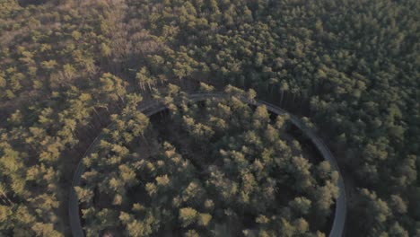 Round-bicycle-track-for-reach-forest-tree-tops,-aerial-view