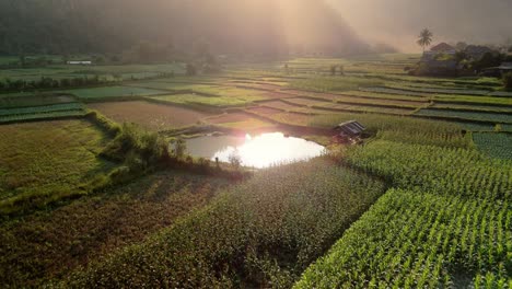 Mystisches-Fruchtbares-Tal-Und-Patchwork-Pflanzen-Fliegen-über-Reflektierenden-Teich,-Mit-Sanften-Abendsonnenstrahlen-Am-Bergigen-Horizont