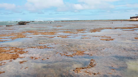 Vista-Aérea-De-La-Playa-Praia-Do-Forte,-El-Arrecife-De-Coral,-La-Zona-De-Palmeras-Y-Algunas-Personas-Disfrutando-En-El-Agua,-Praia-Do-Forte,-Bahía,-Brasil.