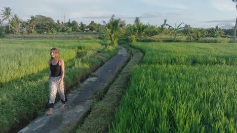 Tracking-Drone-shot-of-barefoot-woman-walking-through-rice-paddies-in-Ubud-Bali-Indonesia-at-Sunrise