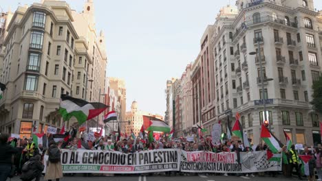 During-a-rally,-protesters-hold-a-banner-and-wave-Palestine-flags-in-solidarity-with-Palestine