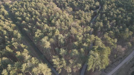 Wanderweg-In-Wunderschönem-Naturwald,-Blick-Aus-Der-Luft-Auf-Den-Aufstieg-Per-Drohne