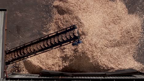 Wood-Chips-Transported-To-A-Stockpile-By-A-Belt-Conveyor-At-Sawmill