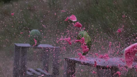 Watermelon-explosion--super-slow-motion-video