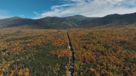 Camino-Rural-Entre-Un-Exuberante-Bosque-Otoñal---Disparo-Aéreo-De-Drones