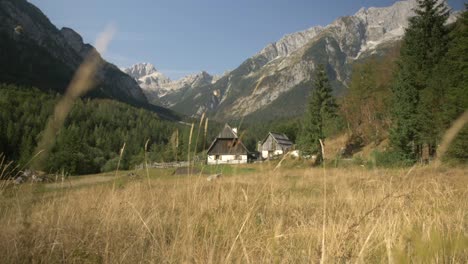 Idyllische-Hütten-Im-Alpental-In-Trenta,-Slowenien,-Gras-Im-Vordergrund,-Geringe-Schärfentiefe