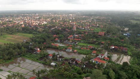 Drone-view-of-flooded-rice-fields-and-urban-buildings-in-Ubud-during-rainy-season,-Bali,-Indonesia