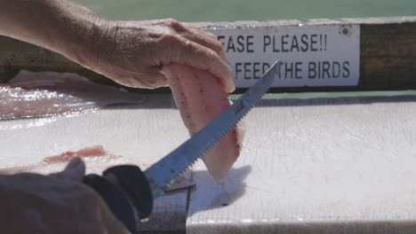 Hombre-Fileteando-Pescado-En-La-Mesa-De-Limpieza-En-Un-Muelle-En-Sarasota,-Florida