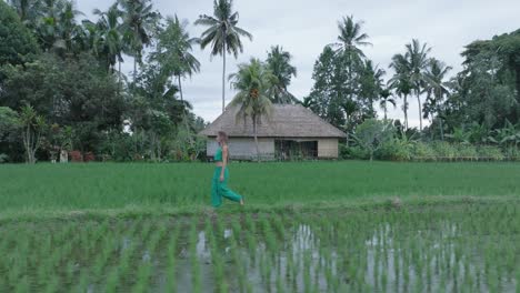 Seguimiento-De-Una-Foto-De-Un-Dron-De-Una-Mujer-Atractiva-Vestida-De-Verde-Caminando-Por-Arrozales-En-Ubud,-Bali,-Indonesia