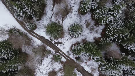 Aerial-4k-shot-of-beautiful-winter-forest-landscape