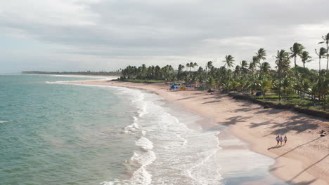 Vista-Aérea-De-La-Playa,-Gran-Zona-Verde-Con-Palmeras-Y-Algunas-Personas-Caminando,-Guarajuba,-Bahía,-Brasil