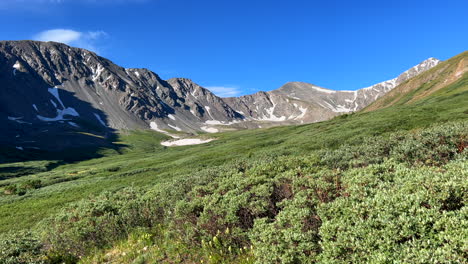 Grays-and-Torreys-peak-bush-trail-June-July-Summer-Colorado-fourteener-14er-Rocky-Mountains-landscape-Continental-Divide-Mount-blue-sky-Evans-morning-pan-to-the-left