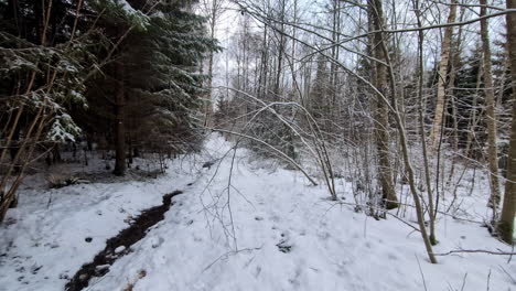 POV-shot-walking-through-snow-covered-winter-forest-while-surrounded-by-trees-on-a-hiking-trail-on-a-cloudy-day