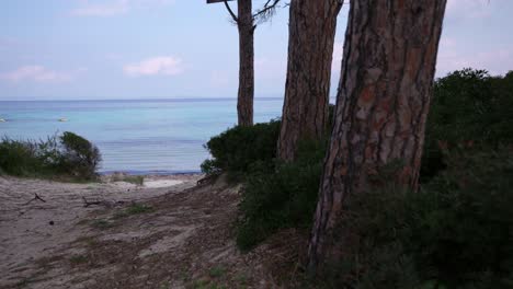 View-of-a-the-Karidi-beach-close-to-pine-trees-with-crystal-clear-sea-in-Sithonia-Chalkidiki-Greece