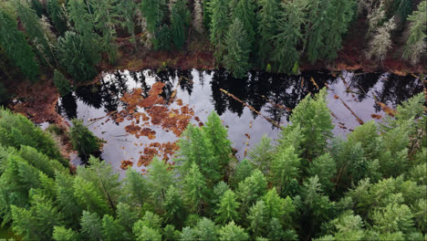 Vista-De-Pájaro-Del-Noroeste-Pacífico-Del-Arroyo-Que-Refleja-Las-Nubes-En-El-Bosque-Siempre-Verde-En-El-Estado-De-Washington