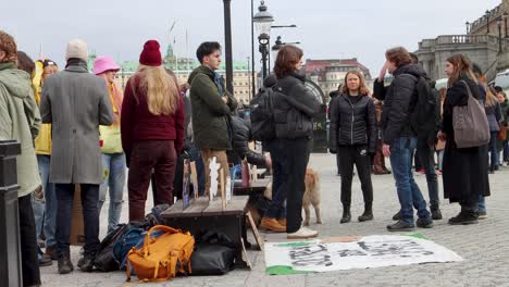 Greta-Thunberg-Y-Viernes-Para-Futuros-Manifestantes-Climáticos-En-Estocolmo