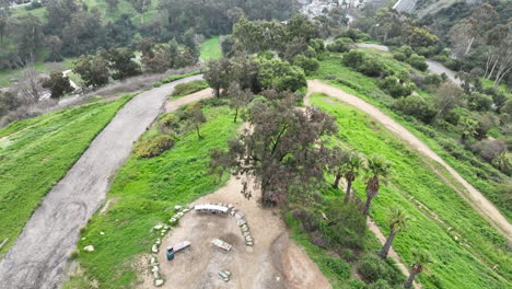 Drone-flight-through-Elysian-Park-in-Los-Angeles