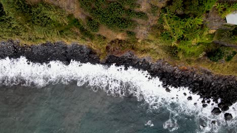 Glide-over-the-azure-seas-surrounding-Madeira,-where-the-sun-kissed-shores-and-rocky-coves-beckon-exploration-from-above