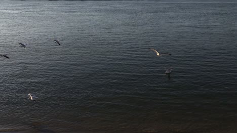 A-low-angle-view-from-over-the-sand-of-the-empty-beach-on-Reynolds-Channel-in-Atlantic-Beach,-NY-during-sunrise