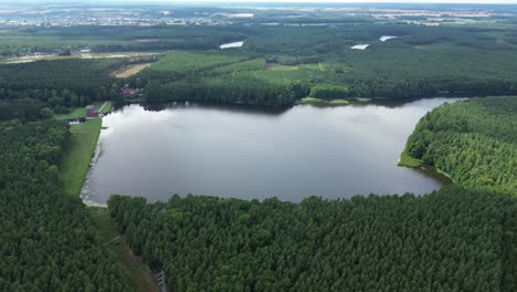 lake-in-forest-green-european-forest-electricity-line-aerial-circulating