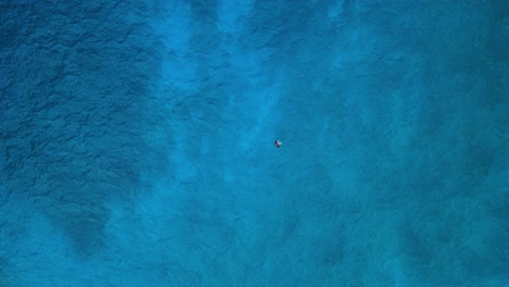 Panoramic-aerial-top-down-overview-descends-on-manta-ray-swimming-in-clear-water