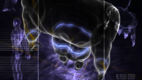 Animierter-Bewegter-Bewegungshintergrund,-Der-Die-3D-Scan-Anatomie-Eines-Menschlichen-Körpers-Zeigt
