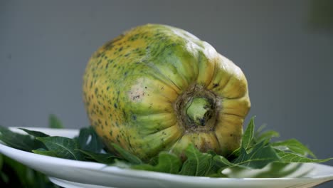 Beautiful-Ripe-yellow-papaya-paw-paw-spinning-on-a-rotating-platform-displaying-it's-beautiful-and-unique-spots-and-skin