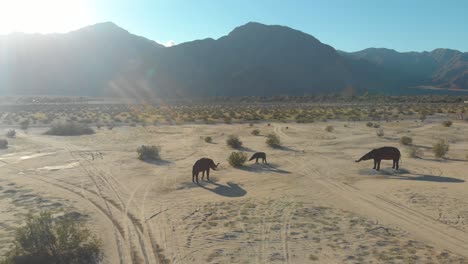 Toma-Aérea-En-Semiórbita-De-Un-Grupo-De-Estatuas-De-Elefantes-En-Medio-Del-Desierto-Rodeado-De-Montañas-En-Un-Día-Soleado