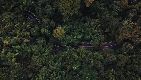 Top-down-view-of-white-car-driving-on-jungle-road