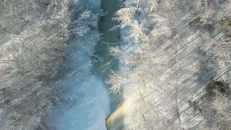 Baum-Wirft-Schatten-An-Sonnigen-Wintertagen-Mit-Gefrorenem-Fluss,-Luftaufnahme-Von-Oben