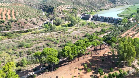 Aerial-view-above-the-trees,-with-the-reservoir-in-the-background-containing-the-waters-of-the-Guadalquivir-River