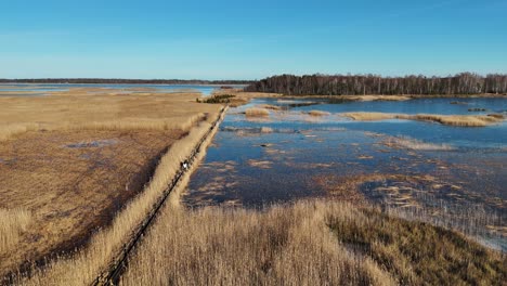 Wooden-Bords-Trail-Through-the-Kaniera-Lake-Reeds-Aerial-Spring-Shot-Lapmezciems,-Latvia