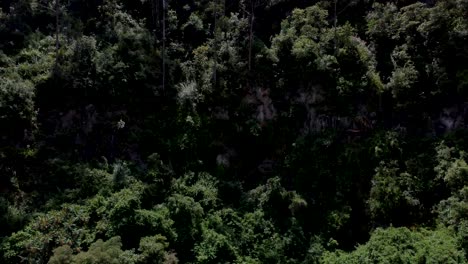film-clip-of-a-wall-of-an-encañonado-in-the-Ecuadorian-highlands