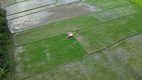 Vista-Aérea-De-Un-Tractor-Familiar-En-Arrozales-Cerca-De-La-Campiña-De-Virac,-Catanduanes,-Filipinas