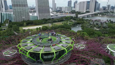 Visitors-of-Bay-Gardens-On-Supertree-Rooftop-with-Singapore-Skyline-in-Background,-Drone-Shot