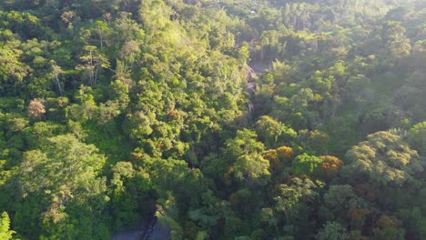 Incredible-Forest-At-Dawn-In-Rio-Negro---Laguna-De-Fuquene---Risaralda,-Colombia