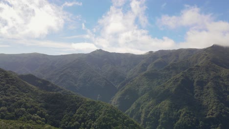 Beautiful-Nature,-surrounded-by-green-nature-and-mountains-in-Madeira