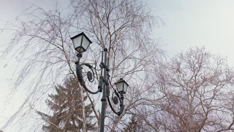 Old-fashioned-Victorian-nostalgic-wrought-iron-replica-lamplights,-low-angle-shot