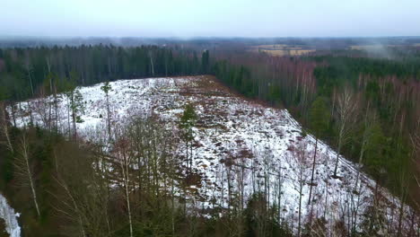 Aerial-winter-view,-snowy-frozen-glade-in-the-foreground-between-leafless-trees