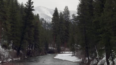 Spruce-Trees-With-Flowing-Stream-During-Winter-In-Boise-National-Forest,-Idaho,-United-States