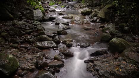 Timelapse-of-Cave-Creek-from-the-walking-trail,-Natural-Bridge,-Springbrook-National-Park