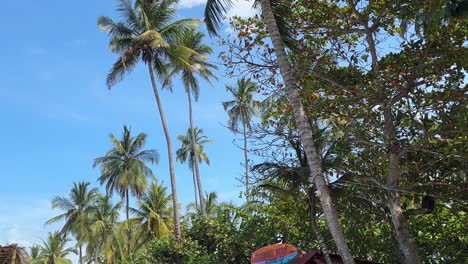 Un-Paraíso-Tropical-Prístino-Con-Exuberante-Vegetación