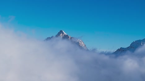 Foggy-ambiance-surrounds-ice-draped-mountain-pine-trees