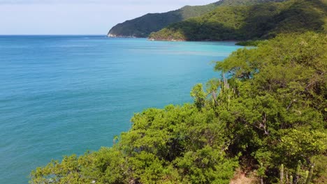 Tropical-coastline-with-lush-greenery-overlooking-a-calm-blue-sea,-daylight